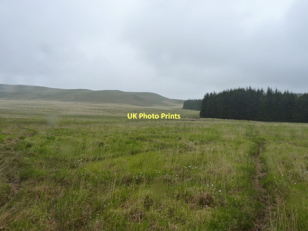 Photo 6"x4" Somewhere in this bog... Source of Afon Tywi c2011