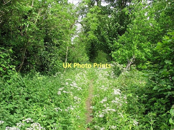 Photo 6"x4" Path, Seton Dean Cockenzie and Port Seton c2011