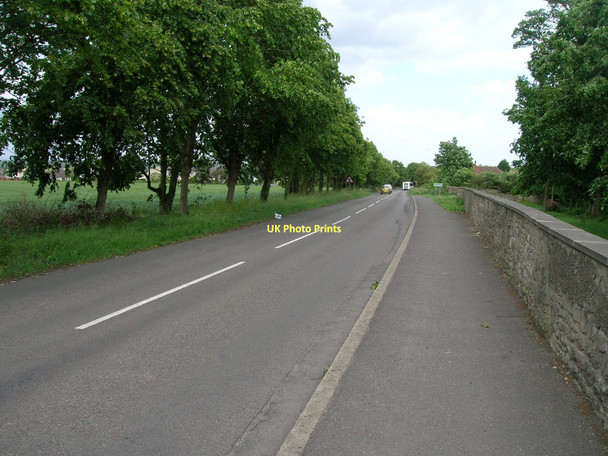 Photo 6"x4" Back Lane towards Cusworth Bentley\/SE5605 c2011