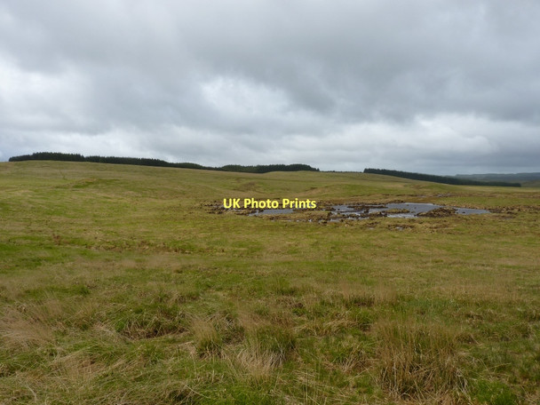 Photo 6"x4" Boggy ground on Esgair Garthen Bryn Trapau c2011