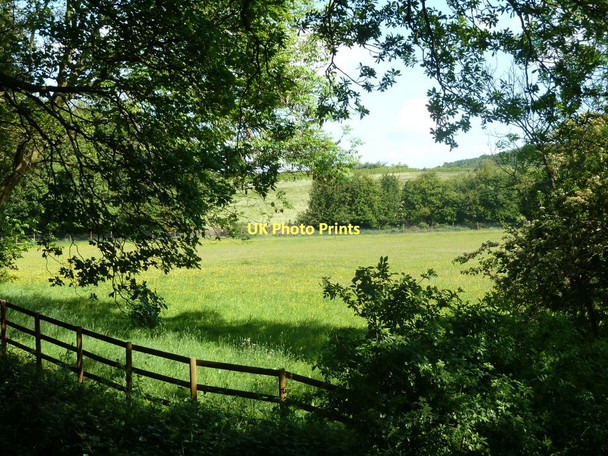 Photo 6"x4" Meadow by Barlow Brook Barlow\/SK3474 c2011