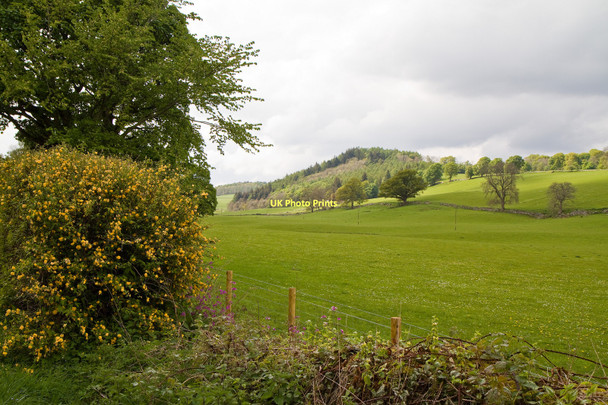 Photo 6"x4" View towards Laggan Hill Crieff\/NN8621 c2011