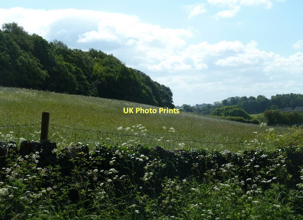 Photo 6"x4" Field and wood above Brindwoodgate Dronfield c2011