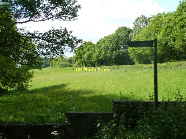 Photo 6"x4" Field by Barlow Lees Lane Dronfield c2011