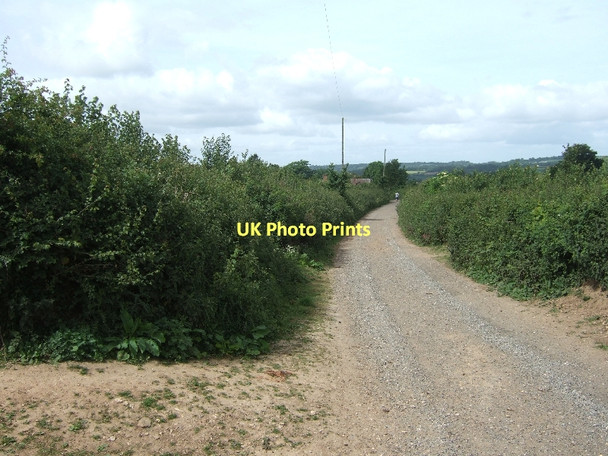 Photo 6"x4" Track to Holcombe Barton Ottery St Mary c2011
