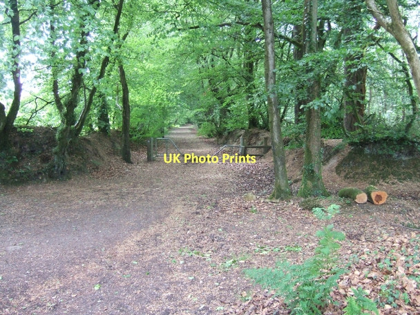 Photo 6"x4" Muddy Lane through Crowpits Covert Gittisham c2011