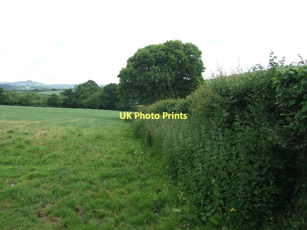 Photo 6"x4" Footpath to Gittisham Gittisham c2011