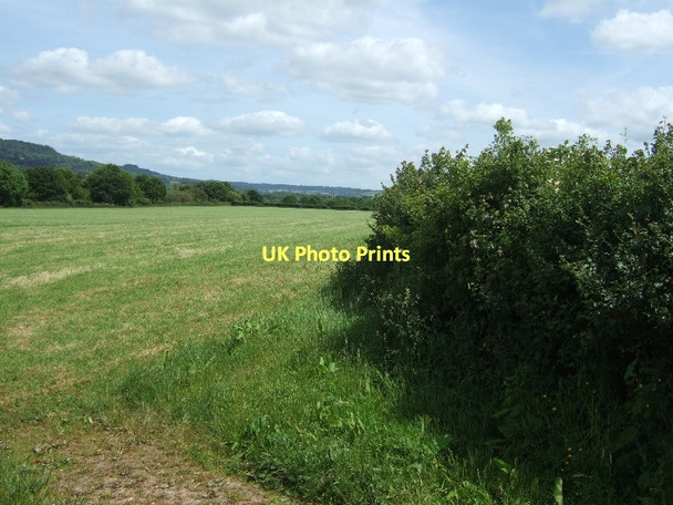 Photo 6"x4" Fields north of Gittisham Gittisham c2011