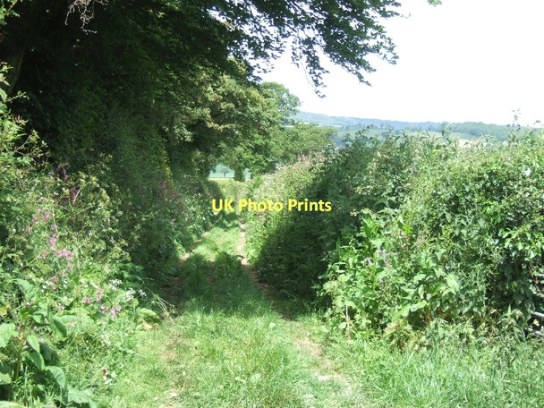 Photo 6"x4" Farm track north from Truances Alfington c2011