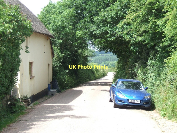 Photo 6"x4" Truance Cottage Alfington c2011