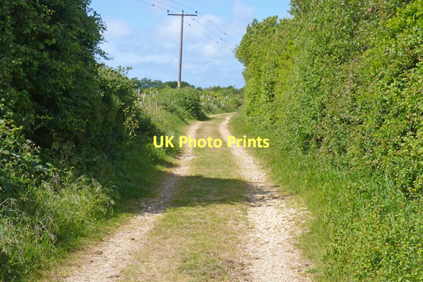 Photo 6"x4" Iley Lane Lymington c2011
