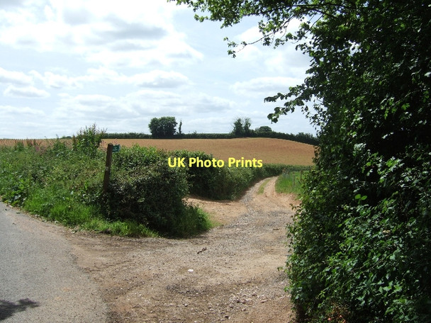 Photo 6"x4" Bridlepath to Woodford from B3177 Ottery St Mary c2011
