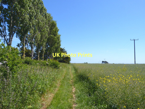 Photo 6"x4" Footpath at Milford on Sea Lymore\/SZ2992 c2011