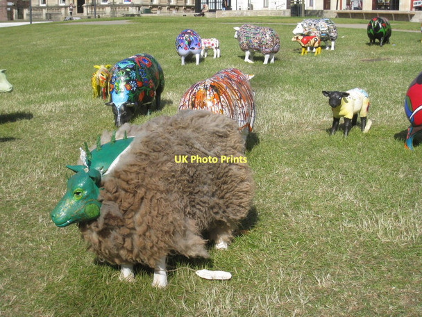 Photo 6"x4" The Flock (3), Exeter Cathedral Close Exeter c2011