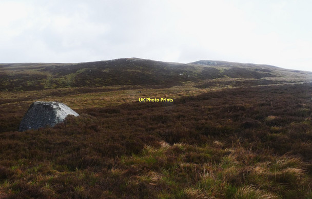 Photo 6"x4" Kildermorie Forest Creachan nan Sgadan c2011