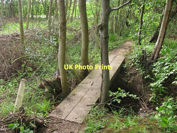 Photo 6"x4" Footbridge, Butterdean Woods Gladsmuir\/NT4573 c2011