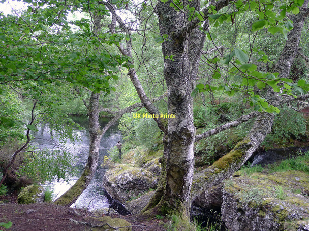 Photo 6"x4" Fisherman below the Falls of Orrin Coul of Fairburn c2011