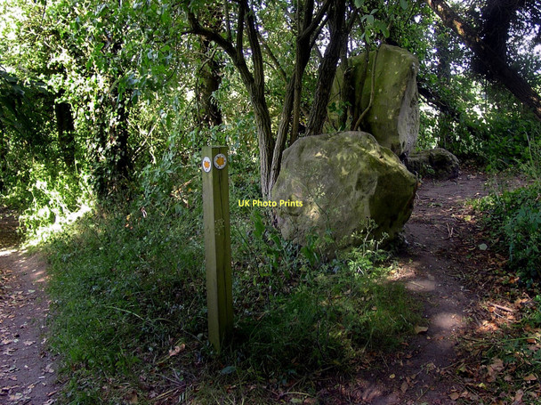 Photo 6"x4" Sarsen Stones, Ipsden Ipsden c2011