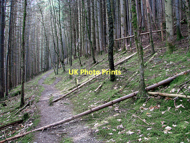Photo 6"x4" Borth to Devil's Bridge path Devil's Bridge\/Pontarfynach c2011