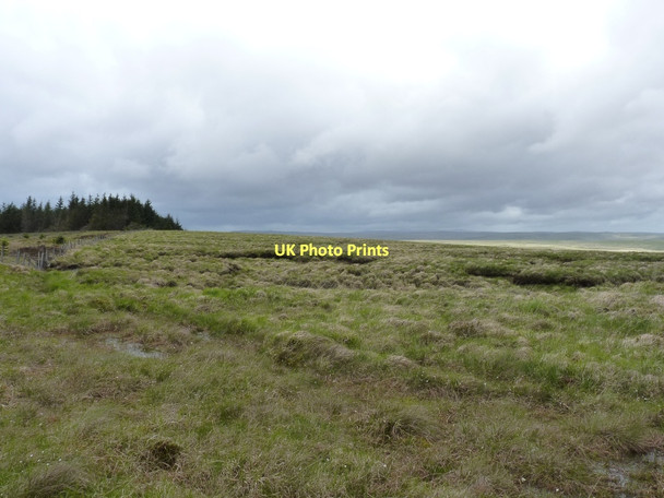 Photo 6"x4" Moorland and peat hags above Gwaun Sanau Moel Prysgau c2011