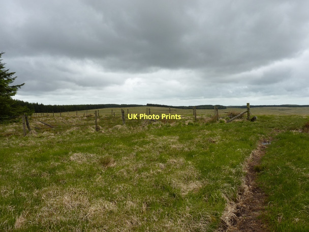 Photo 6"x4" The summit of Bryn Garw Blaen Irfon c2011