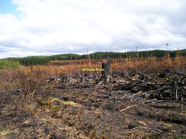 Photo 6"x4" Forestry fire Rh\u00f4s\/SN3835 c2011