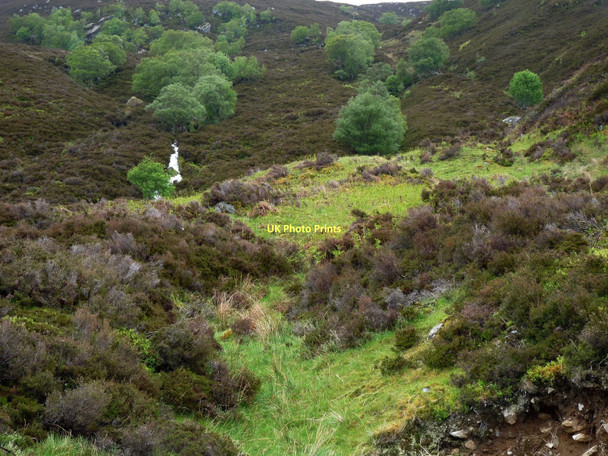 Photo 6"x4" A wee burn tumbles down to Loch Glass Loch Glass c2011