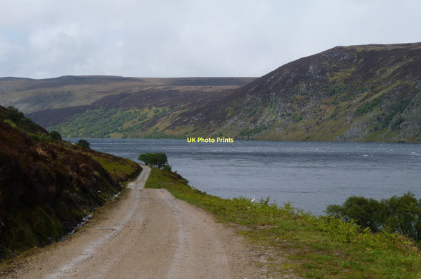 Photo 6"x4" Estate road along Loch Glass Loch Glass c2011