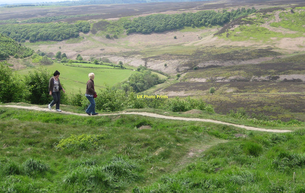 Photo 6"x4" Path above the Hole of Horcum Levisham c2011