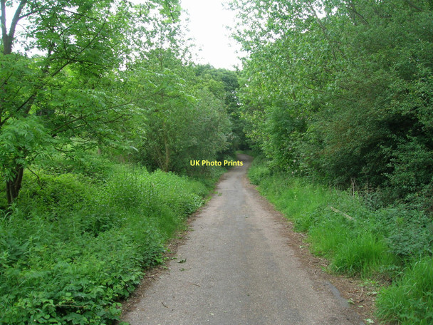 Photo 6"x4" Track through woodland, Kirk Sandall Barnby Dun c2011