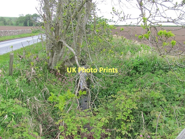 Photo 6"x4" Claremont Burn Denhead\/NO4613 c2011