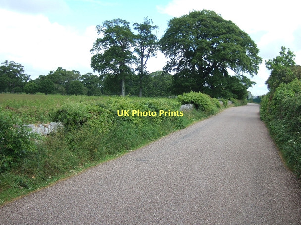 Photo 6"x4" Road passing Powderham Park South Town\/SX9683 c2011