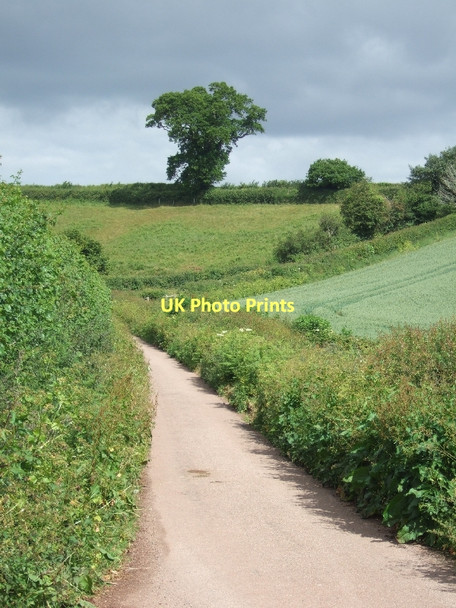 Photo 6"x4" Back road from Starcross to South Town South Town\/SX9683 c2011