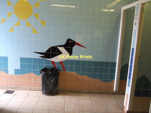 Photo 6"x4" Tiles in the gents toilet at Dawlish Warren Dawlish c2011