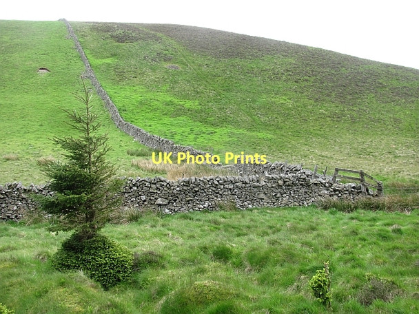 Photo 6"x4" Early Knowe Walkerburn c2011