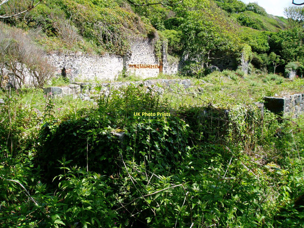 Photo 6"x4" Derelict Serpentine Works at Carleon Cove Poltesco c2011