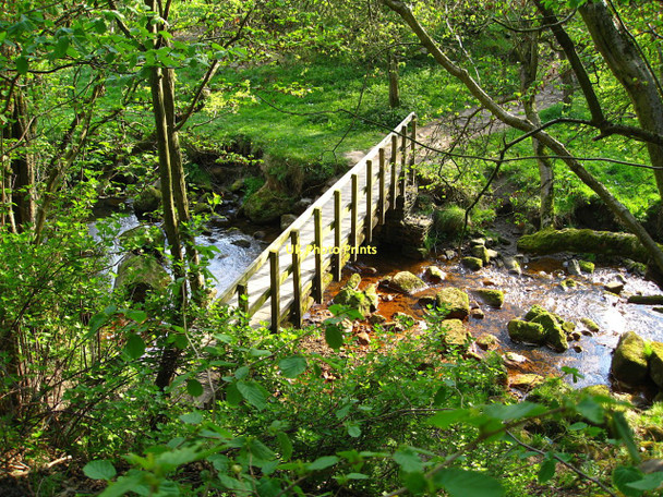 Photo 6"x4" Foot Bridge Robin Hood\/SK2772 c2011