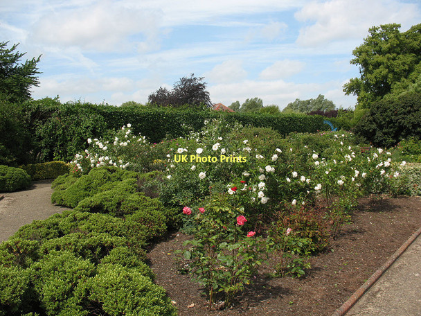 Photo 6"x4" Waltham Abbey rose garden Waltham Abbey c2011