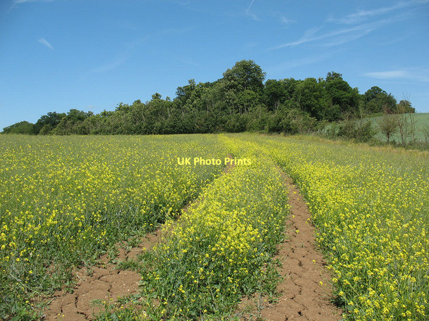 Photo 6"x4" Field below Claygate Lane Waltham Abbey c2011