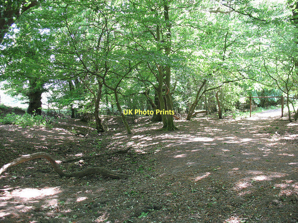 Photo 6"x4" Dry stream at Galleyhill Green Nazeing Long Green c2011