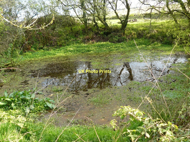 Photo 6"x4" Large Pond Llanteg c2010