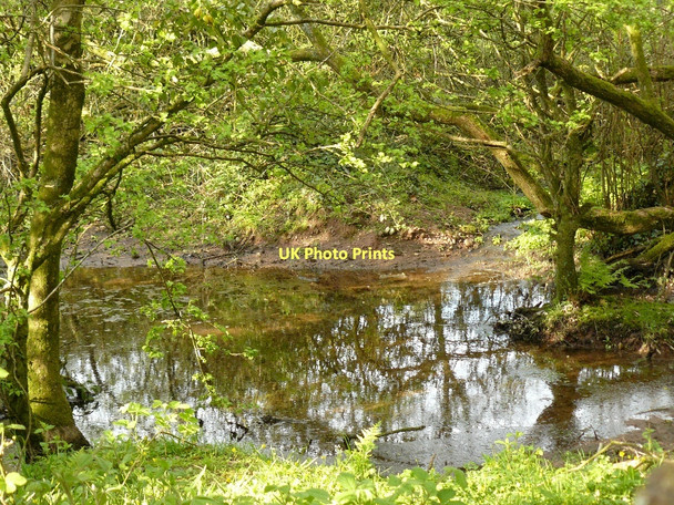 Photo 6"x4" Large pond Llanteg c2010
