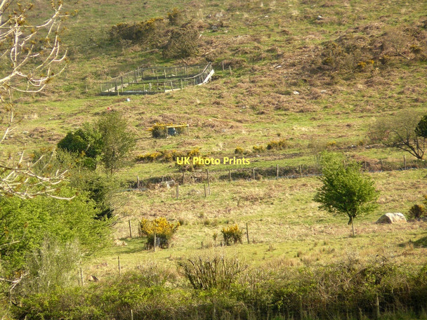 Photo 6"x4" Game pen Llanteg c2010