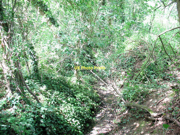Photo 6"x4" Dry stream near Nazeing Bumble's Green c2011