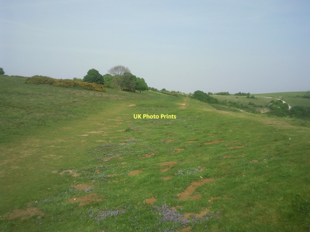 Photo 6"x4" Inside Cissbury Ring Findon Valley c2011