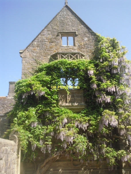 Photo 6"x4" Wisteria covered ruin at Nymans Handcross c2011