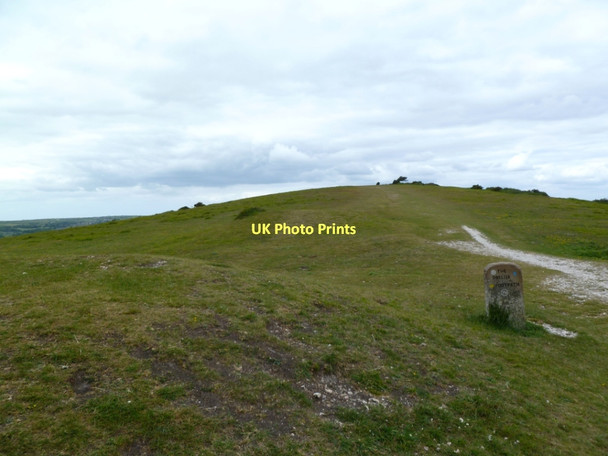 Photo 6"x4" Ballard Down, tumuli Studland c2011
