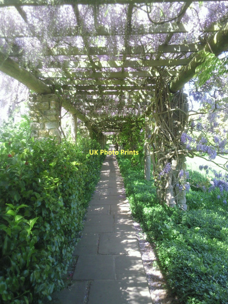 Photo 6"x4" Pergola at Nymans Gardens Handcross c2011
