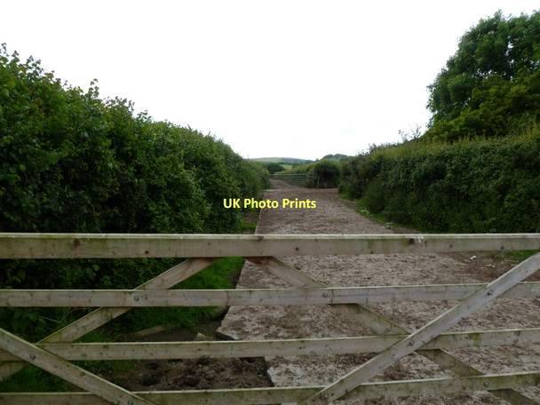 Photo 6"x4" Studland, farm road Studland c2011
