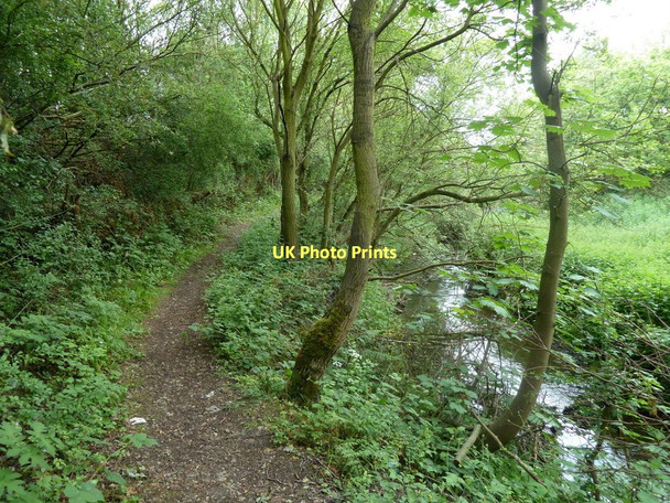 Photo 6"x4" Footpath by the River Rother Clay Cross c2011